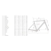 Focus Izalco Max 8.9