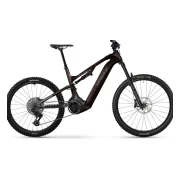 Haibike ALLMTN CF 9