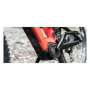 Haibike Allmnt CF 10 TRN/IQ