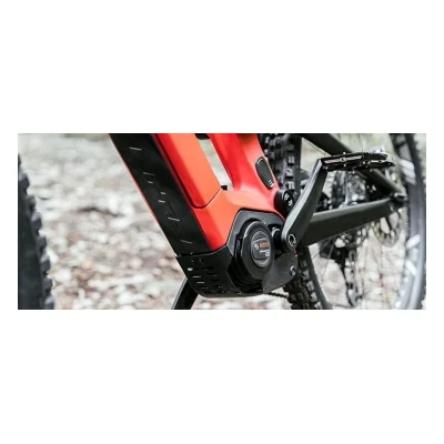 Haibike Allmnt CF 10 TRN/IQ