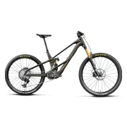 Orbea Wild LT M-TEAM RS Mullet