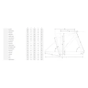 Focus Atlas 8.9