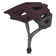 IXS Trigger AM