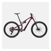 Specialized Stumpjumper 15 EVO Expert