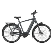 Gazelle Arroyo C5 HMB Elite 600Wh