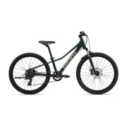 Giant Talon 24 Disc