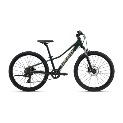 Giant Talon 24 Disc