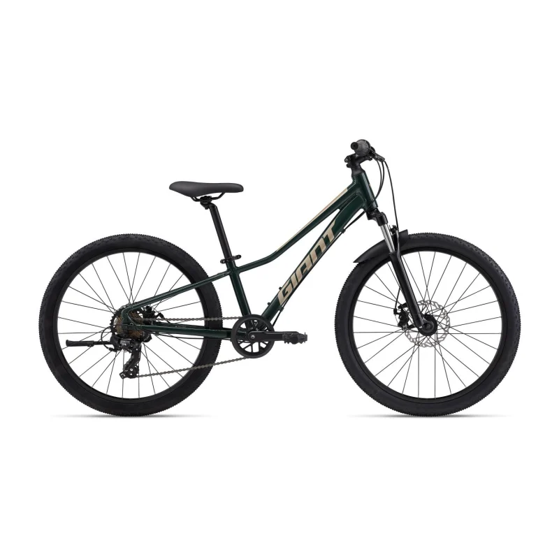 Giant Talon 24 Disc
