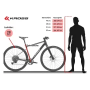 KROSS Esker 1.0 FL