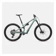 Specialized Stumpjumper 15 EVO Expert