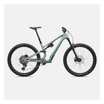 Specialized Stumpjumper 15 EVO Expert