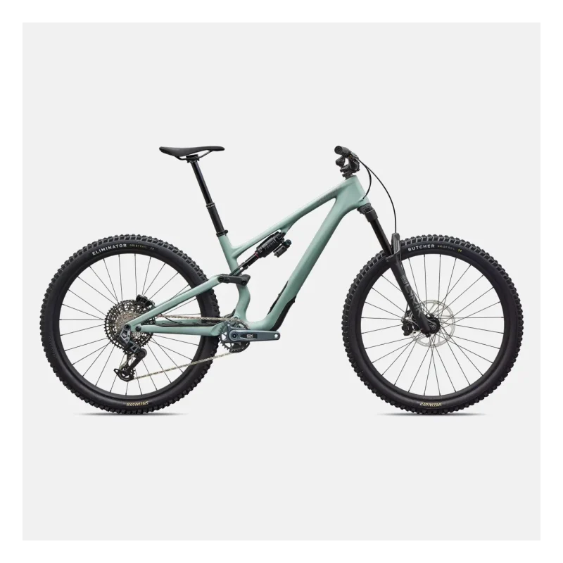 Specialized Stumpjumper 15 EVO Expert