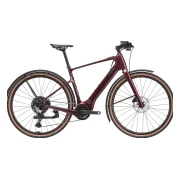 Cannondale Tesoro Neo Carbon 3