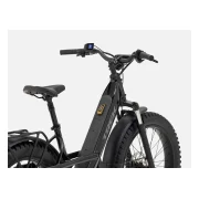 Trek Borrego+
