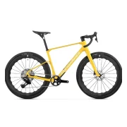 Mondraker Arid Carbon RS