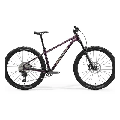 Merida BIG.TRAIL 600