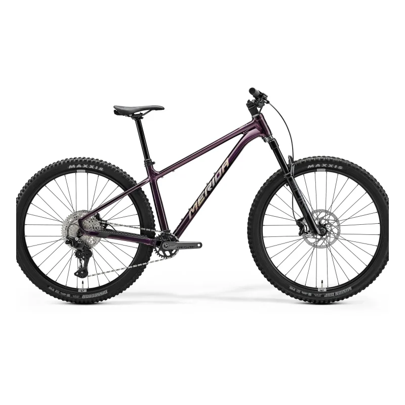 Merida BIG.TRAIL 600