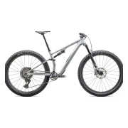Specialized EPIC 8 EVO EXPERT