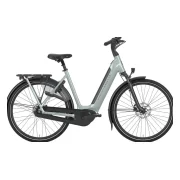Gazelle Arroyo C8 Elite 540