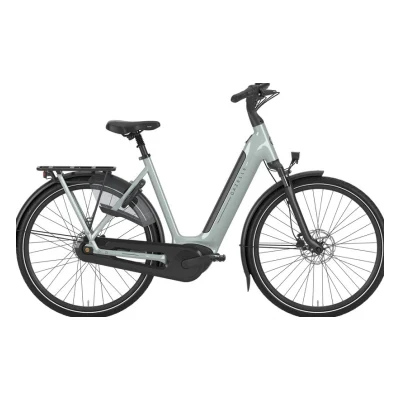 Gazelle Arroyo C8 Elite 540