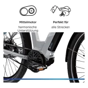 Zündapp X850