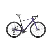 Mondraker Arid Carbon S