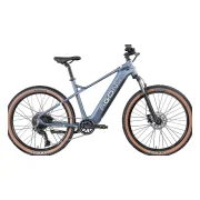Agon Alpha Bike