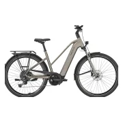 Pegasus Premio Evo 10 Lite