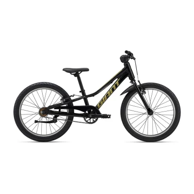Giant Talon 20 SS