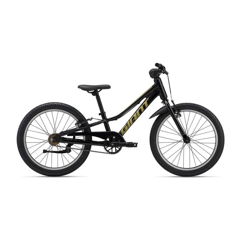 Giant Talon 20 SS