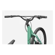 Cannondale Treadwell 2 Low StepThru