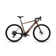 Santa Cruz Skitch Apex