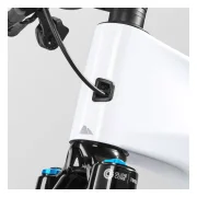Canyon Spectral:ON CF 9 AXS