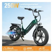 Maxtron Camel Elektrofahrrad