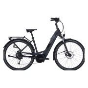 Pegasus Solero Evo 9