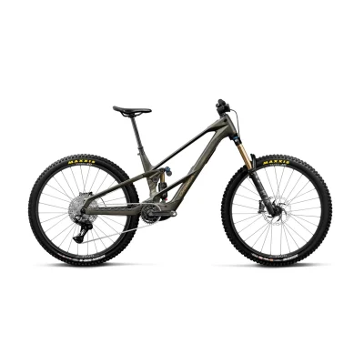 Orbea Wild LT M10