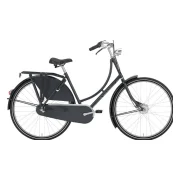 Gazelle Classic R3T