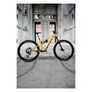Nukeproof Reactor Alloy Pro 290