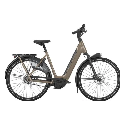 Gazelle Arroyo C5 Elite 600 Wh