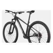 Cannondale Trail 2