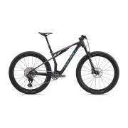 Giant Anthem Advanced SL 1