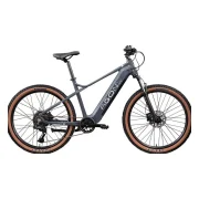 Agon Alpha Bike