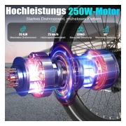 Maxtron Smart 30 Klapp E Bike