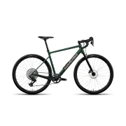 Santa Cruz Stigmata Rival 1x AXS Rudy