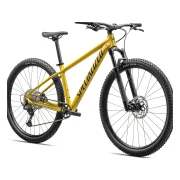 Specialized Rockhopper Expert