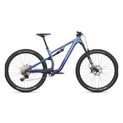 Canyon Neuron 6