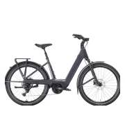 Trek Charter+ 4S Lowstep