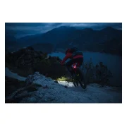 Lupine C14 SP E--Bike-Rücklicht