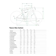 Cannondale Tesoro Neo Carbon 2
