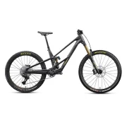 Orbea Rallon RS-Team Mullet